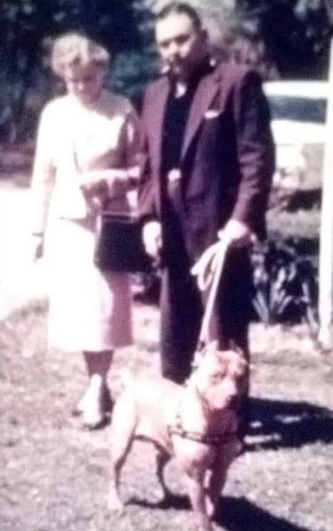 Bob Wallace and his wife Doris Wallace with Wallaces Red Brave AKA Curley in 1962