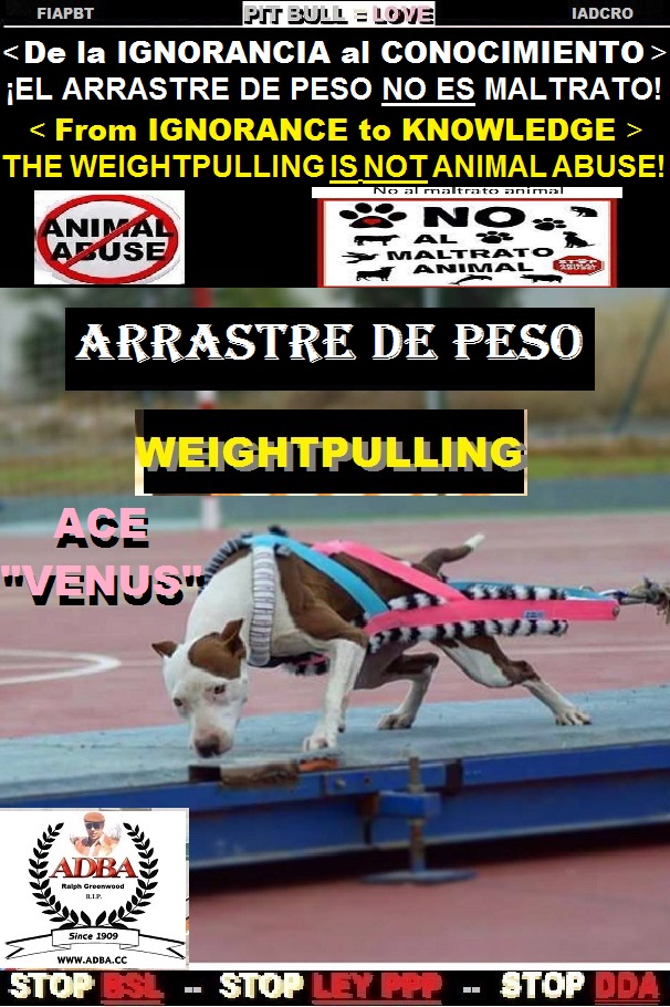 - 00 00 ACE VENUS NO AL MALTRATO ANIMAL. PARA CONTESTACIN QUE EL ARRASTRE NO ES MALTRATO