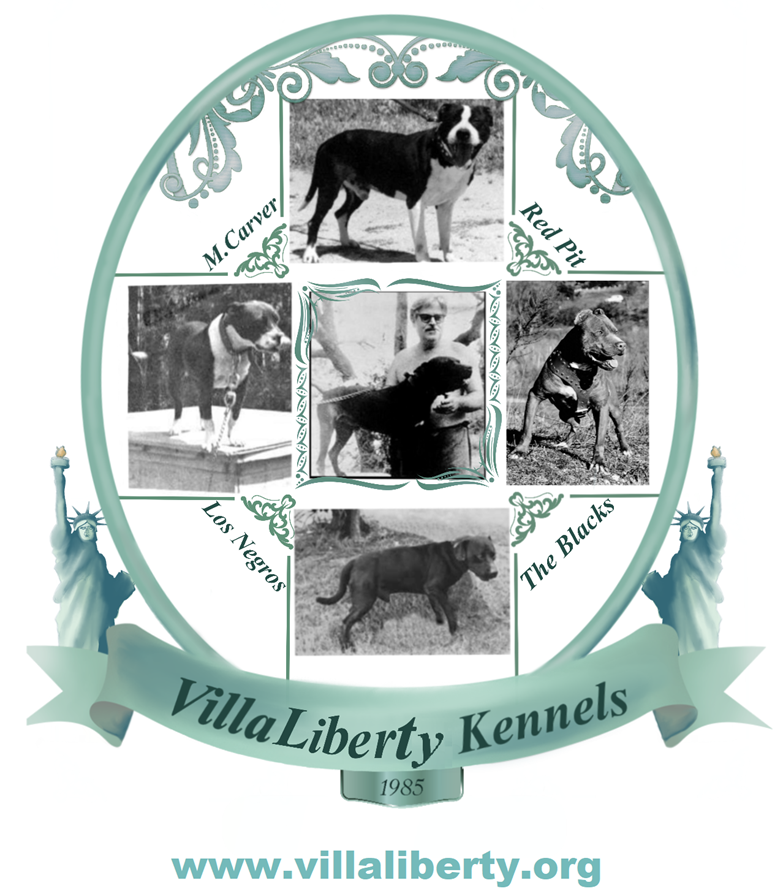 LOGO DEFINITIVO DE VILLA LIBERTY KENNELS - copia