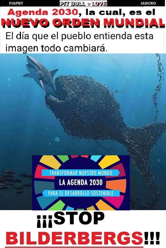 ZZZZZ AGENDA 2030 PEZ GRANDE SE COME AL PEQUEO - copia