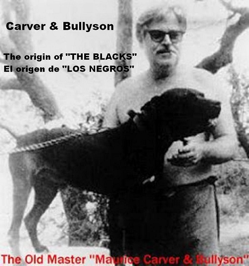 Carver & Bullyson