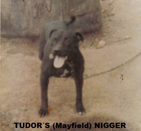 http://elidogs.freehostia.com/history/nigger.jpg