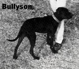 Copia de BULLYSON y BOBY HALL