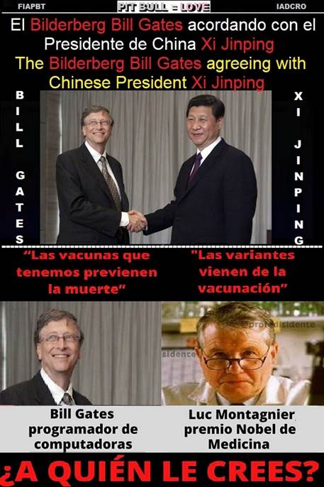 BILL GATES & XI JINPING