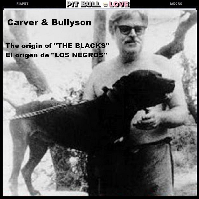 - 00 CARVER & BULLYSON - copia