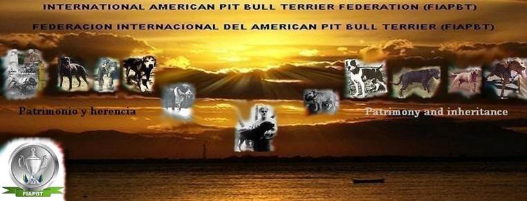 Copia de PORTADA FIAPBT FACEBOOK