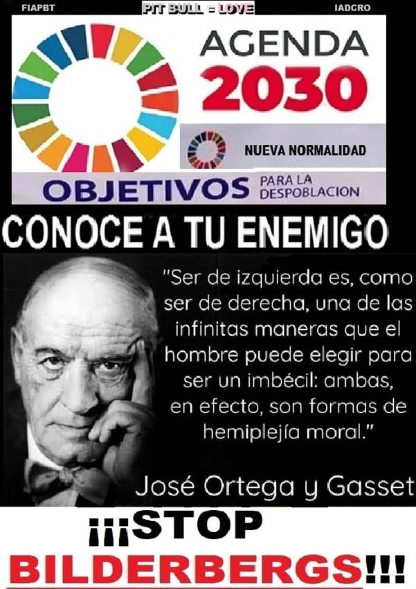 ZZZ ORTEGA Y GASET AGENDA 2030