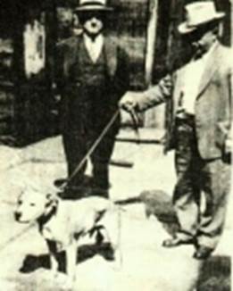https://www.fiapbt.net/historiadibo_archivos/image032.jpg