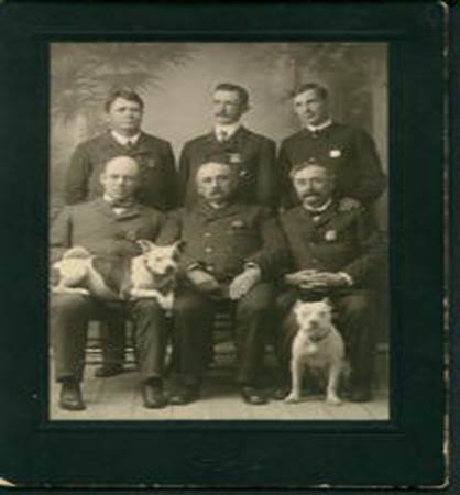 http://www.haynespitbulls.com/images/1880PolicemenandAPBT_small.jpg