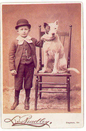 http://www.haynespitbulls.com/images/1900circacabinetcard.jpg