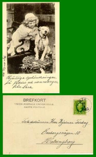 http://www.haynespitbulls.com/images/1903postcard.jpg