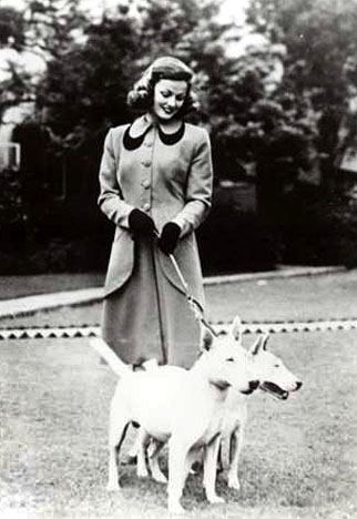 http://www.haynespitbulls.com/images/actressbullterrier_W.jpg