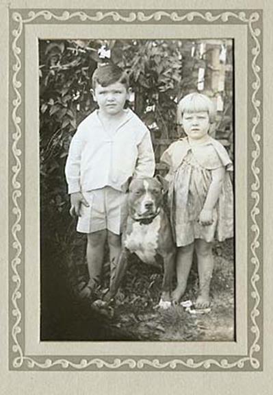 http://www.haynespitbulls.com/images/Dogand2Kids3.jpg