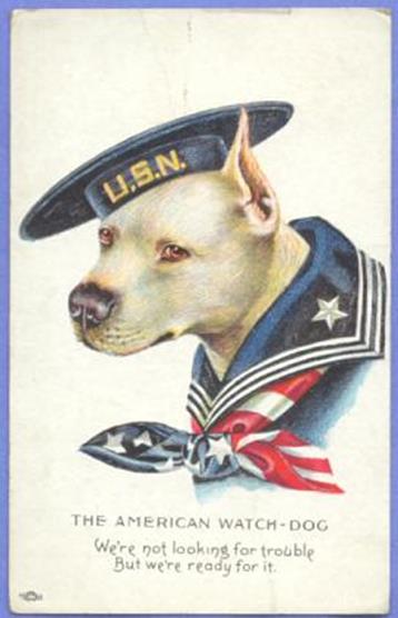 http://www.haynespitbulls.com/images/postcard2.jpg