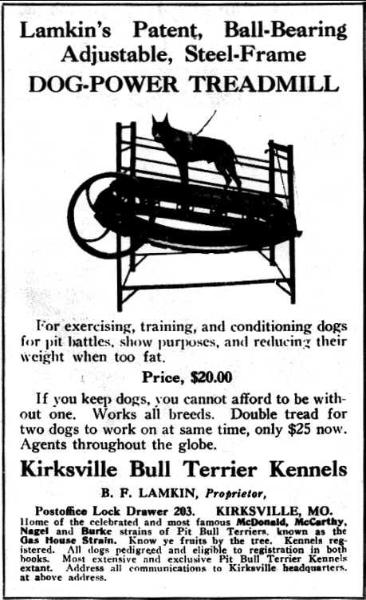 http://www.haynespitbulls.com/sitebuilder/images/treadmillLamkinAd-366x600.jpg