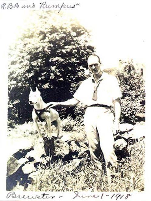 http://www.haynespitbulls.com/images/VintageBullTerrierMan.jpg