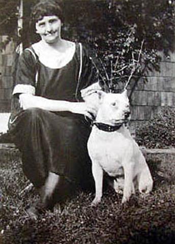 http://www.haynespitbulls.com/images/VintageWomanDog.jpg