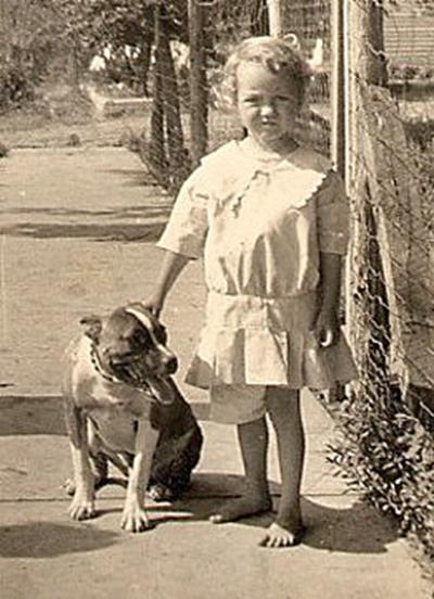 http://www.haynespitbulls.com/images/VintageGirlDog1910.jpg