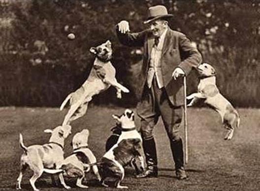 http://www.haynespitbulls.com/images/vintageManyDogs.jpg