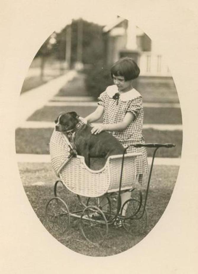 vintage-pitbullstroller-375[1]