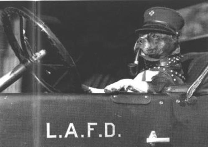 vintage-pitbullfireman-375[1]