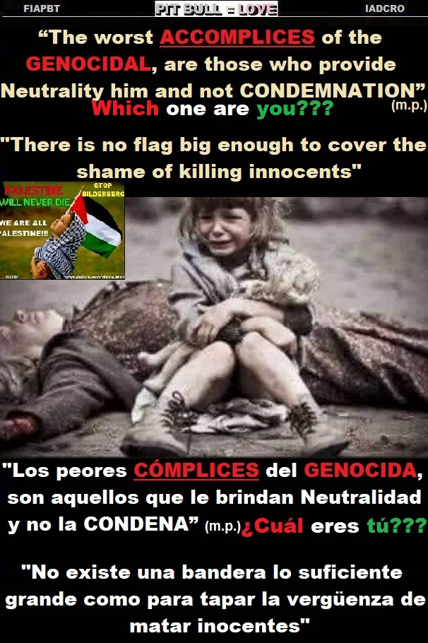 zzzzzzzzzzzzzzzzz HAMAS ENEMIGO DE PALESTINA ESCUDOS HUMANOS