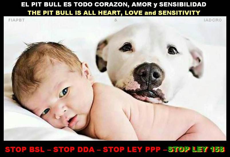 Copia de - STOP LEY 158