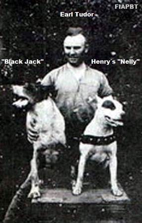 Earl Tudor with Black Jack and Cunningham's Nellie