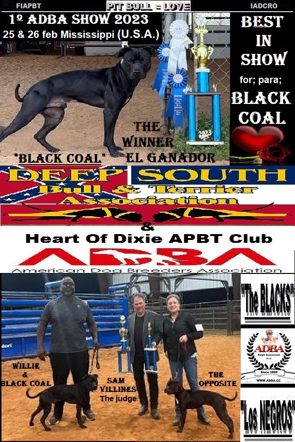 ZZZZZZZZZZZ BLACK COAL GANADOR BEST IN SHOW MISSISSIPPI 2023