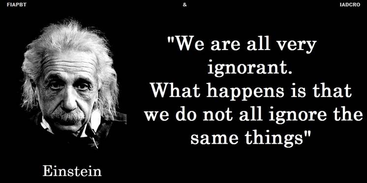 EINSTEIN Ingles