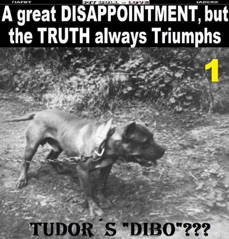 - - - -  1 Tudor�s Dibo INGLES