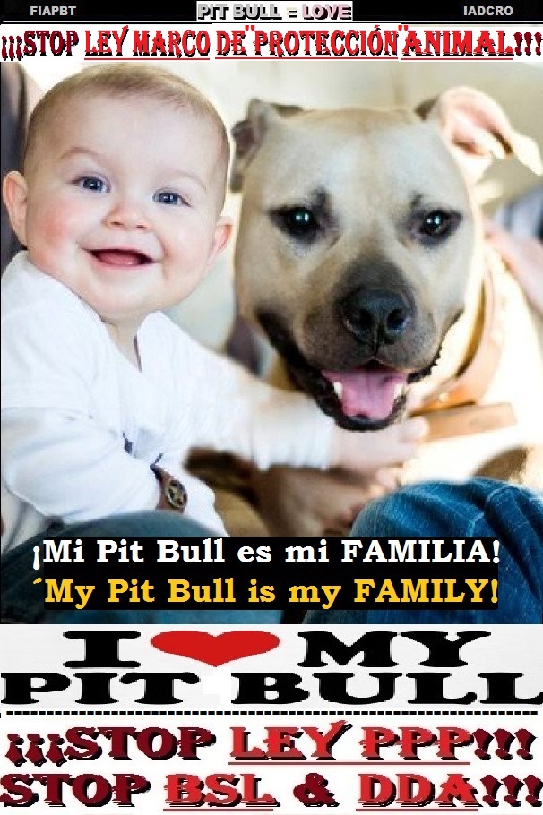 -00 00 00 00 MI PIT BULL ES MI FAMILIA