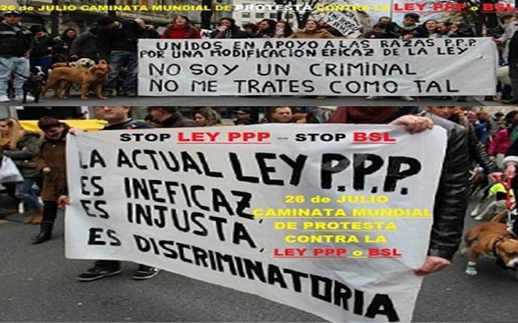 - 00 PROTESTA LEY PPP 26 DE JULIO - copia