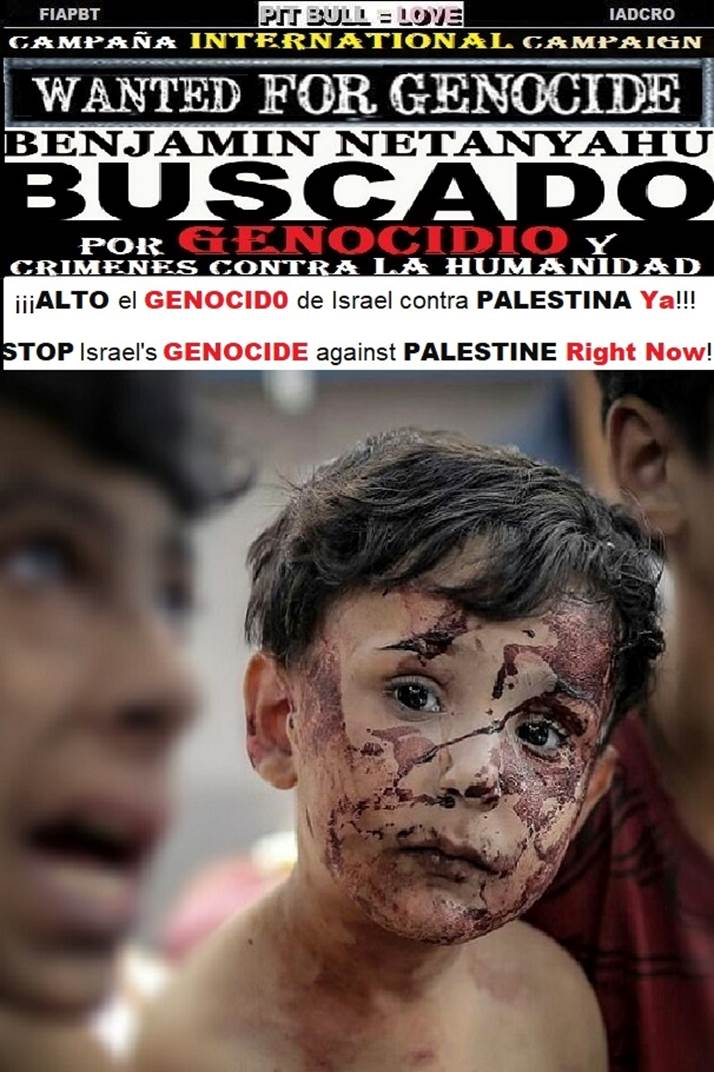 zzzzzzzzzzzzzzzzzzzzzzzzzzzzzzz PLAYA PALESTINA