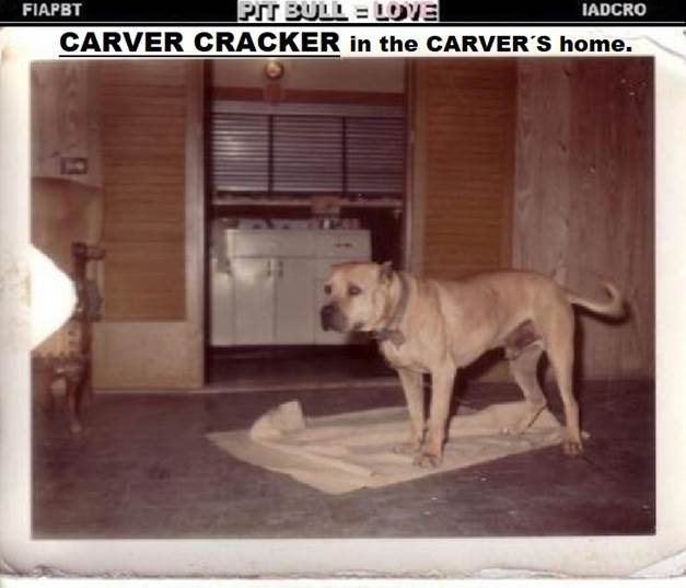 CARVER CRACKER