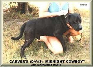 MIDNIGHT COWBOY con  MARGARET DAIVIS